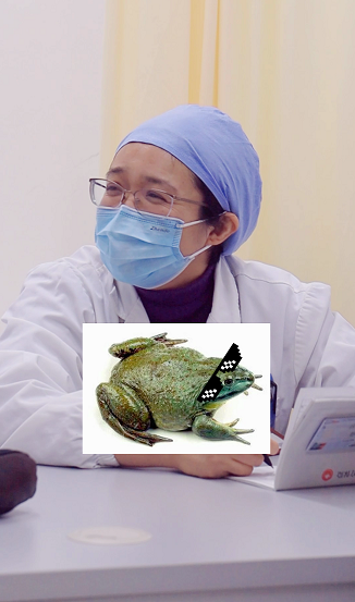 慢性肾病可以吃牛蛙么